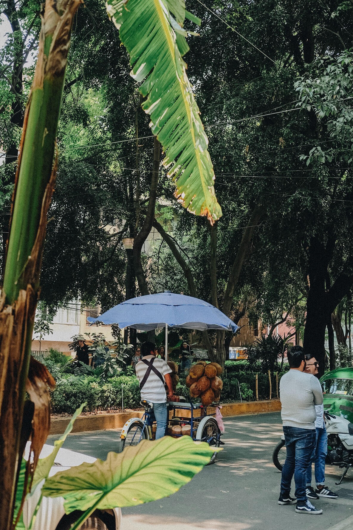 Coconut Ride