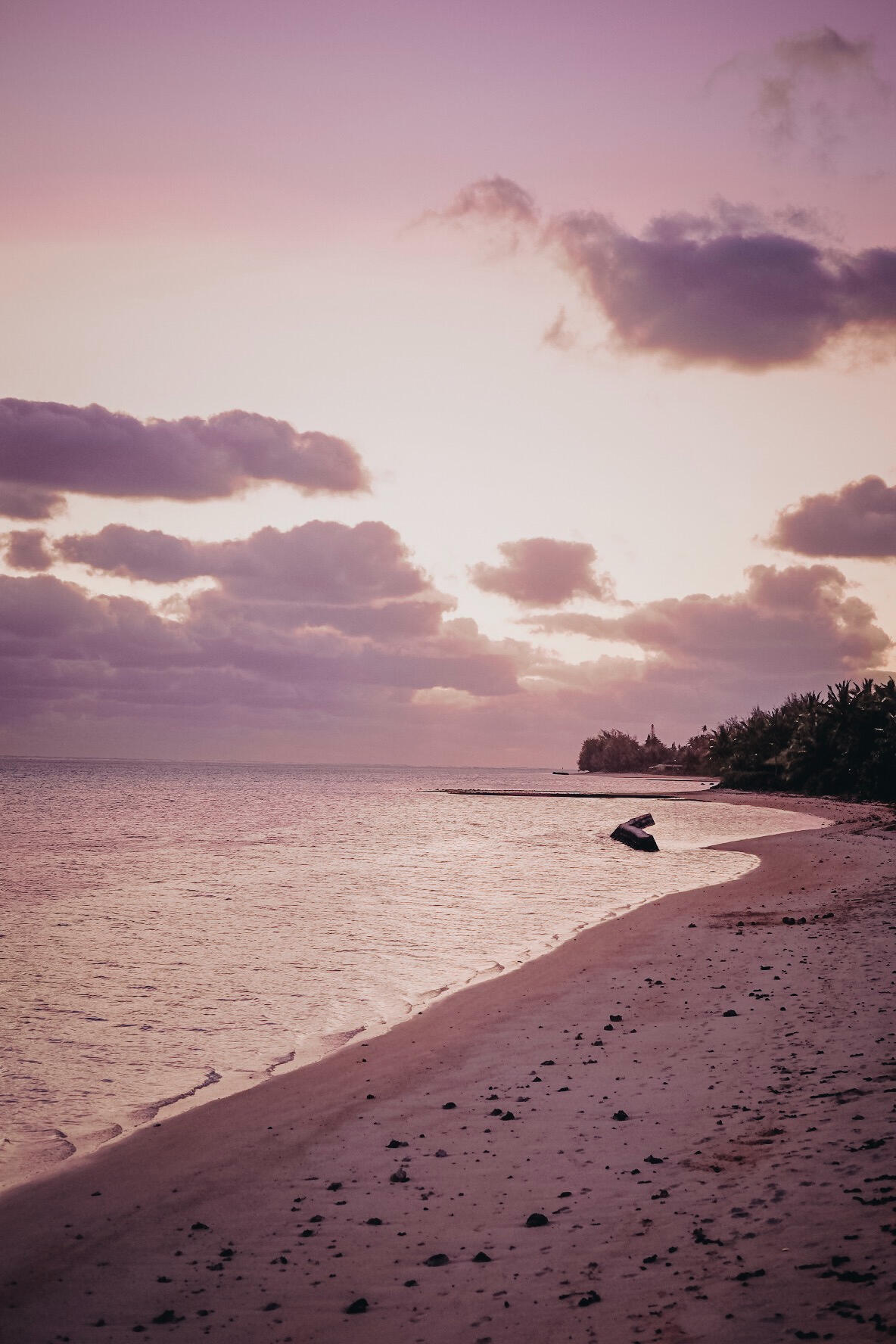 Purple Sunset